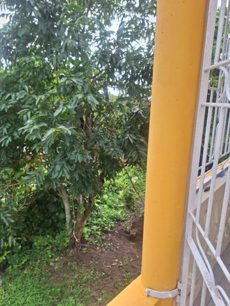 Fourth image of Fellowship Mango Valley , st Mary in Fellowship Hall, St. Mary, Jamaica - property is For Sale