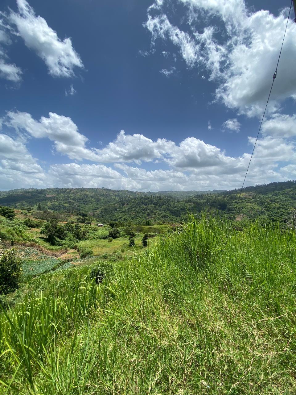 First image of Coleyville in Coleyville, Manchester, Jamaica - property is For Sale