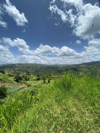 First image of Coleyville in Coleyville, Manchester, Jamaica - property is For Sale