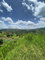 First image of Coleyville in Coleyville, Manchester, Jamaica - property is For Sale