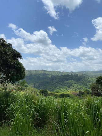 Second image of Coleyville in Coleyville, Manchester, Jamaica - property is For Sale