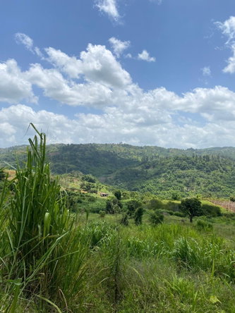 Third image of Coleyville in Coleyville, Manchester, Jamaica - property is For Sale