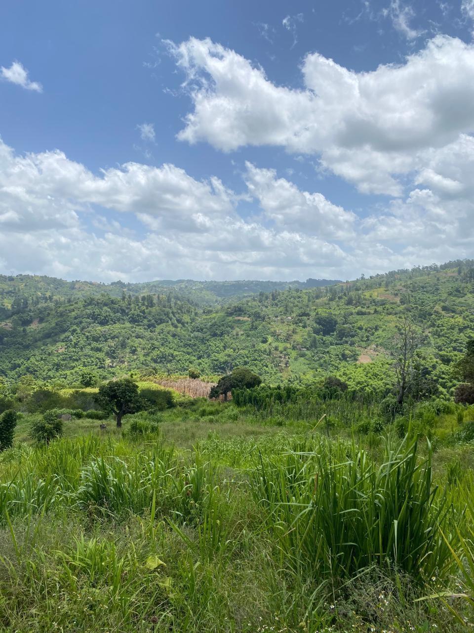 Fourth image of Coleyville in Coleyville, Manchester, Jamaica - property is For Sale