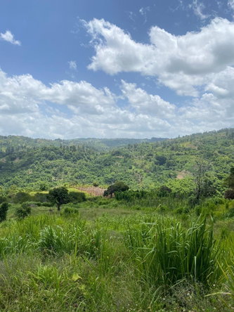 Fourth image of Coleyville in Coleyville, Manchester, Jamaica - property is For Sale