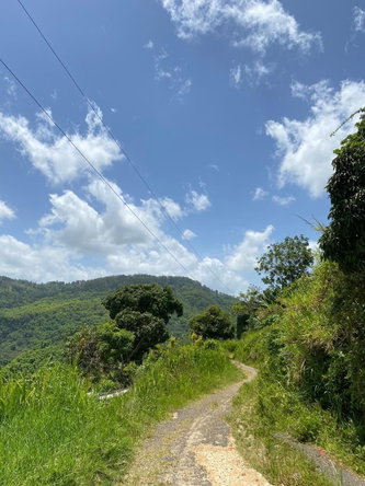 Fifth image of Coleyville in Coleyville, Manchester, Jamaica - property is For Sale