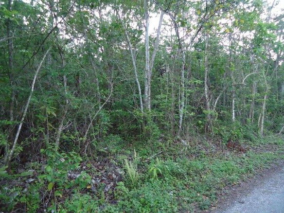 First image of Copse Hanover in Copse, Hanover, Jamaica - property is For Sale