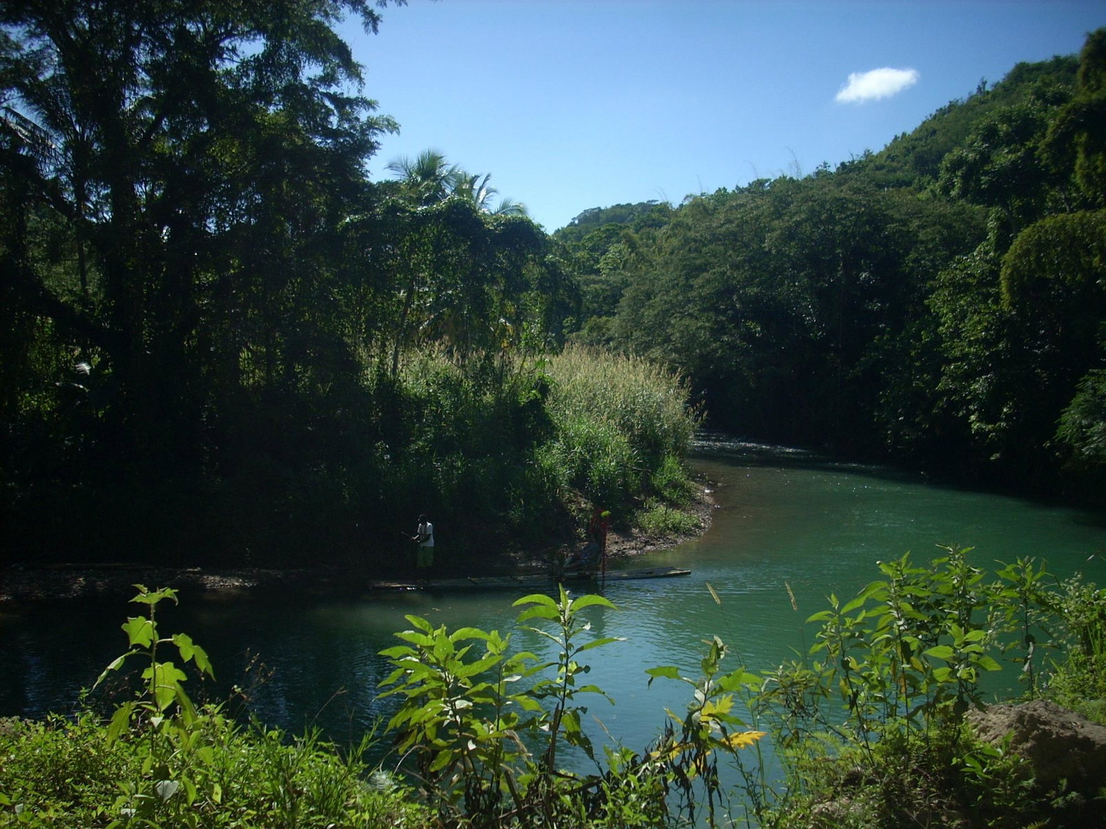 Second image of Copse Hanover in Copse, Hanover, Jamaica - property is For Sale