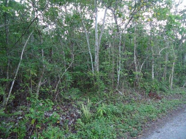 Fourth image of Copse Hanover in Copse, Hanover, Jamaica - property is For Sale