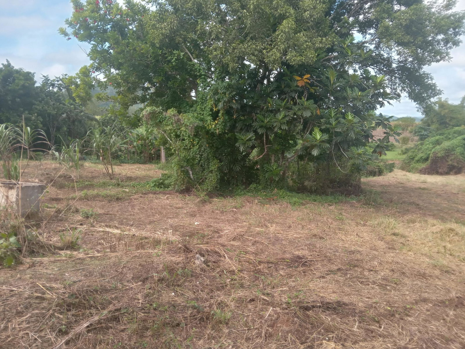 Eleventh image of Deeside- Blackwin, Wakefield, Trel in Wakefield, Trelawny, Jamaica - property is For Sale