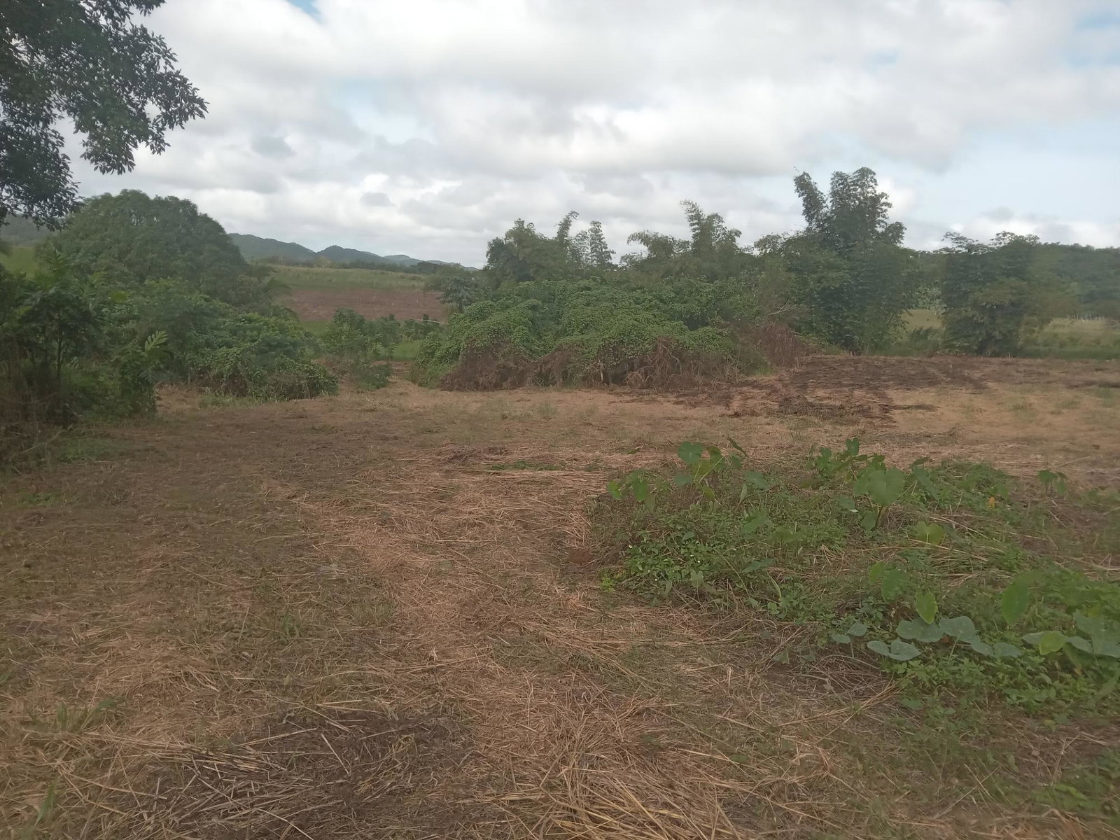 Fourteenth image of Deeside- Blackwin, Wakefield, Trel in Wakefield, Trelawny, Jamaica - property is For Sale