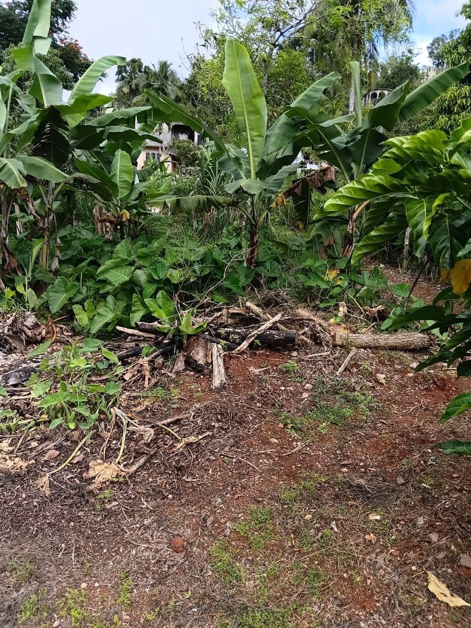 Eighteenth image of Hinds Town, Salibury st a in Hinds Town, St. Ann, Jamaica - property is For Sale