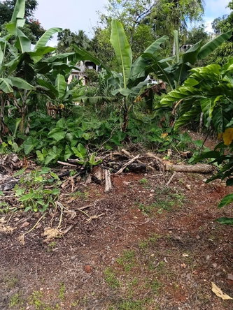 Eighteenth image of Hinds Town, Salibury st a in Hinds Town, St. Ann, Jamaica - property is For Sale