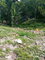 First image of Top Hill, mt Carey in Mount Carey, St. James, Jamaica - property is For Sale