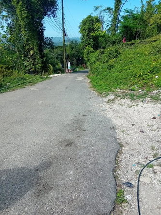 Sixth image of Top Hill, mt Carey in Mount Carey, St. James, Jamaica - property is For Sale