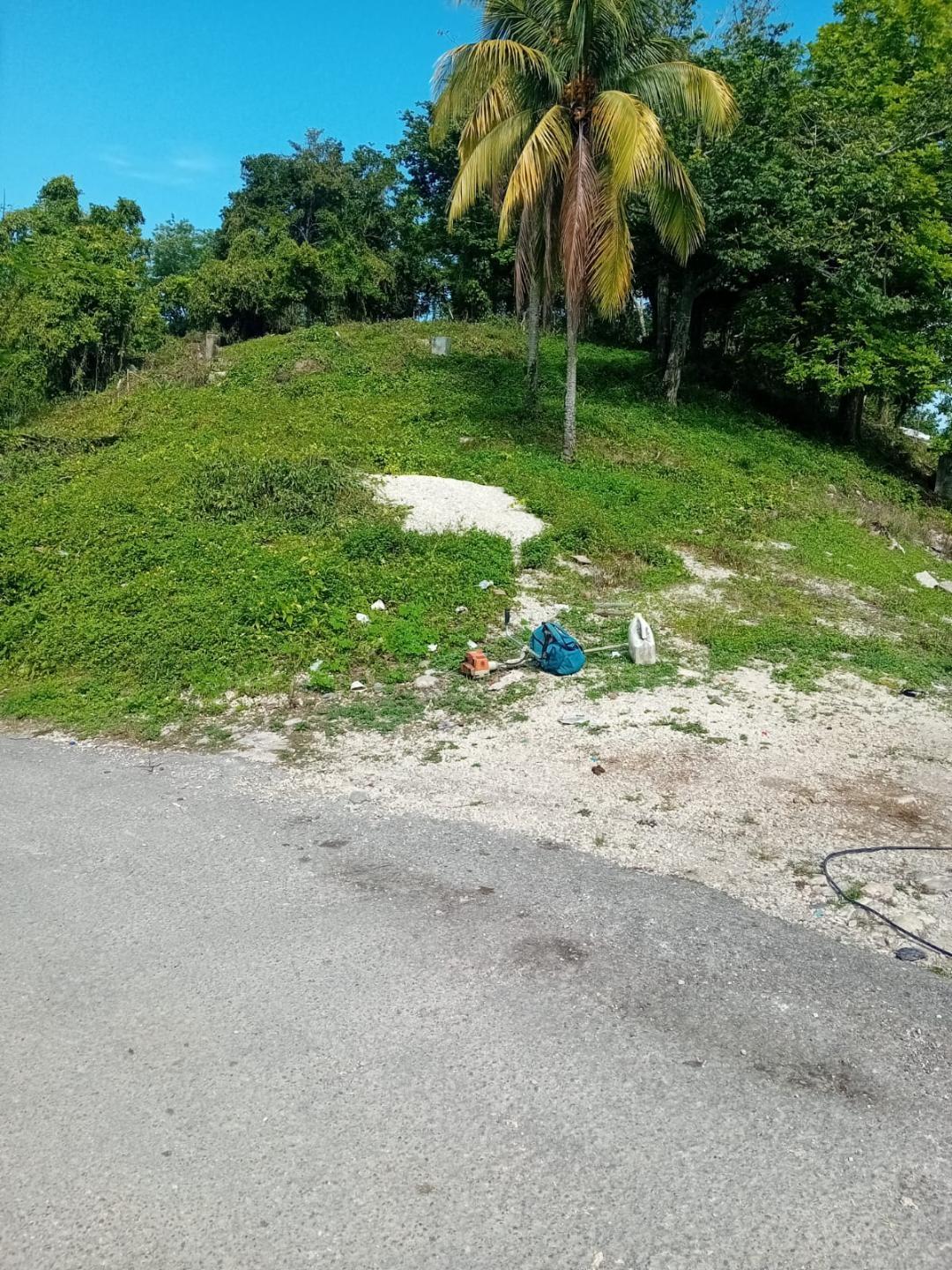 Seventh image of Top Hill, mt Carey in Mount Carey, St. James, Jamaica - property is For Sale
