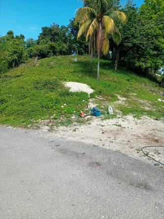 Seventh image of Top Hill, mt Carey in Mount Carey, St. James, Jamaica - property is For Sale