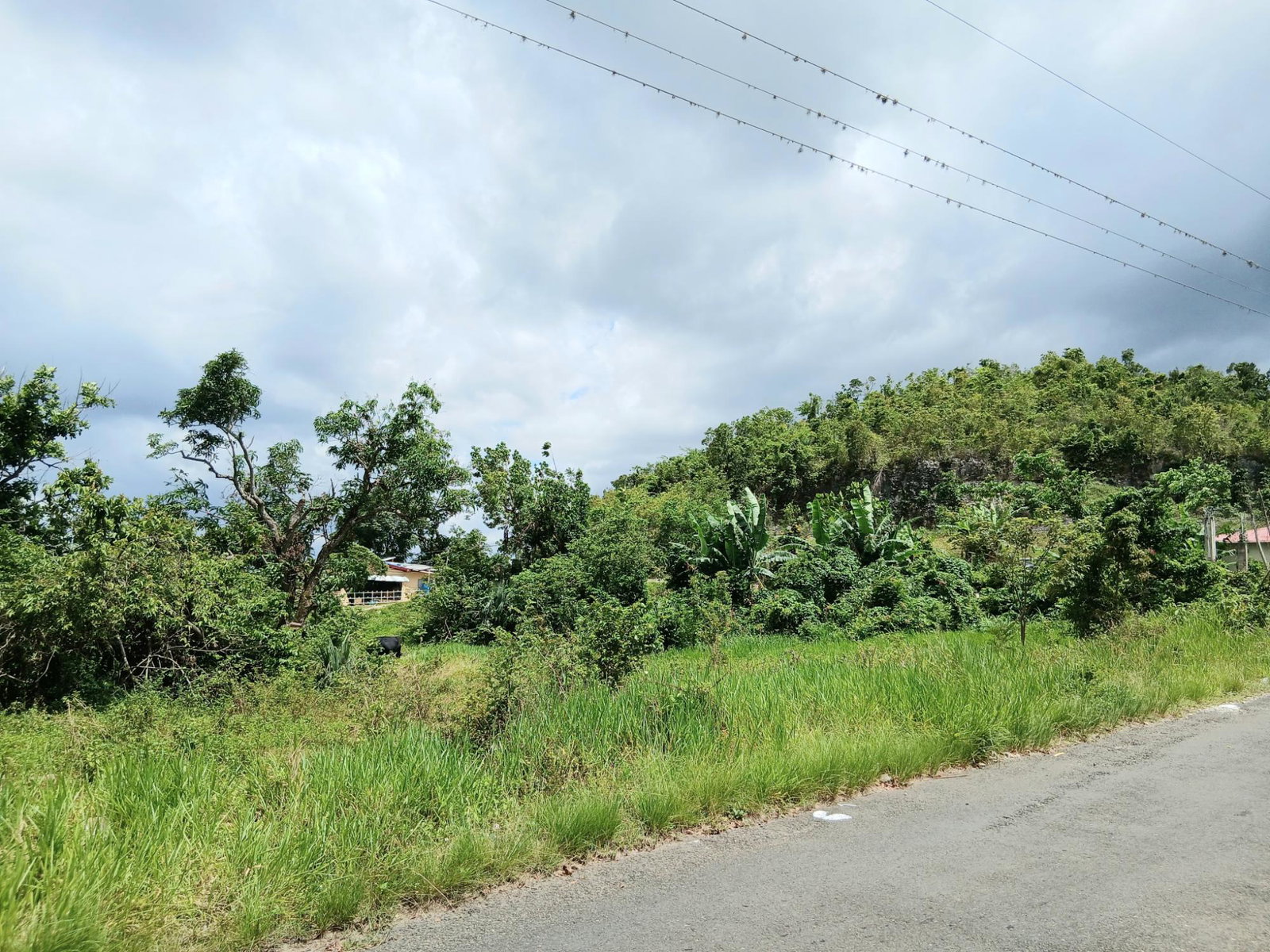 First image of Burnt Ground in Santa Cruz, St. Elizabeth, Jamaica - property is For Sale