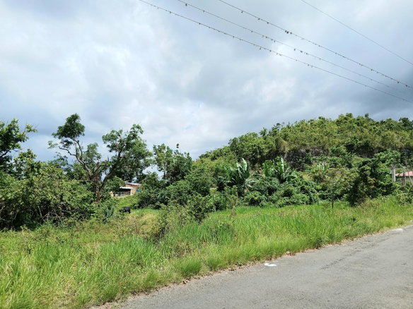 First image of Burnt Ground in Santa Cruz, St. Elizabeth, Jamaica - property is For Sale