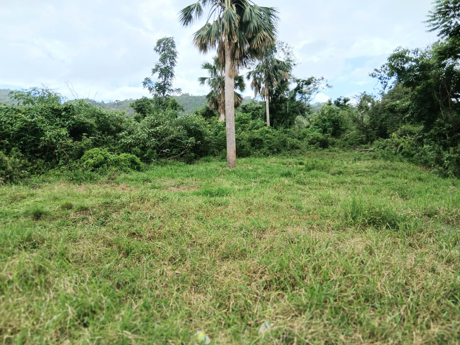 Tenth image of Burnt Ground in Santa Cruz, St. Elizabeth, Jamaica - property is For Sale