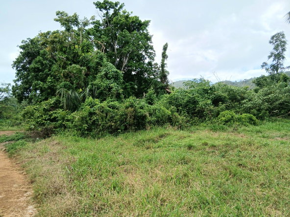Eleventh image of Burnt Ground in Santa Cruz, St. Elizabeth, Jamaica - property is For Sale