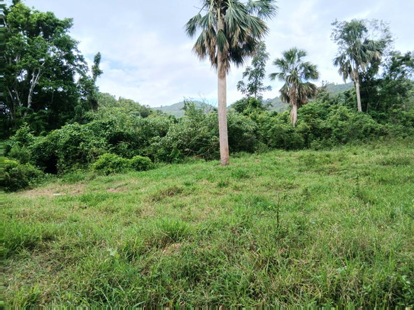 Twelfth image of Burnt Ground in Santa Cruz, St. Elizabeth, Jamaica - property is For Sale