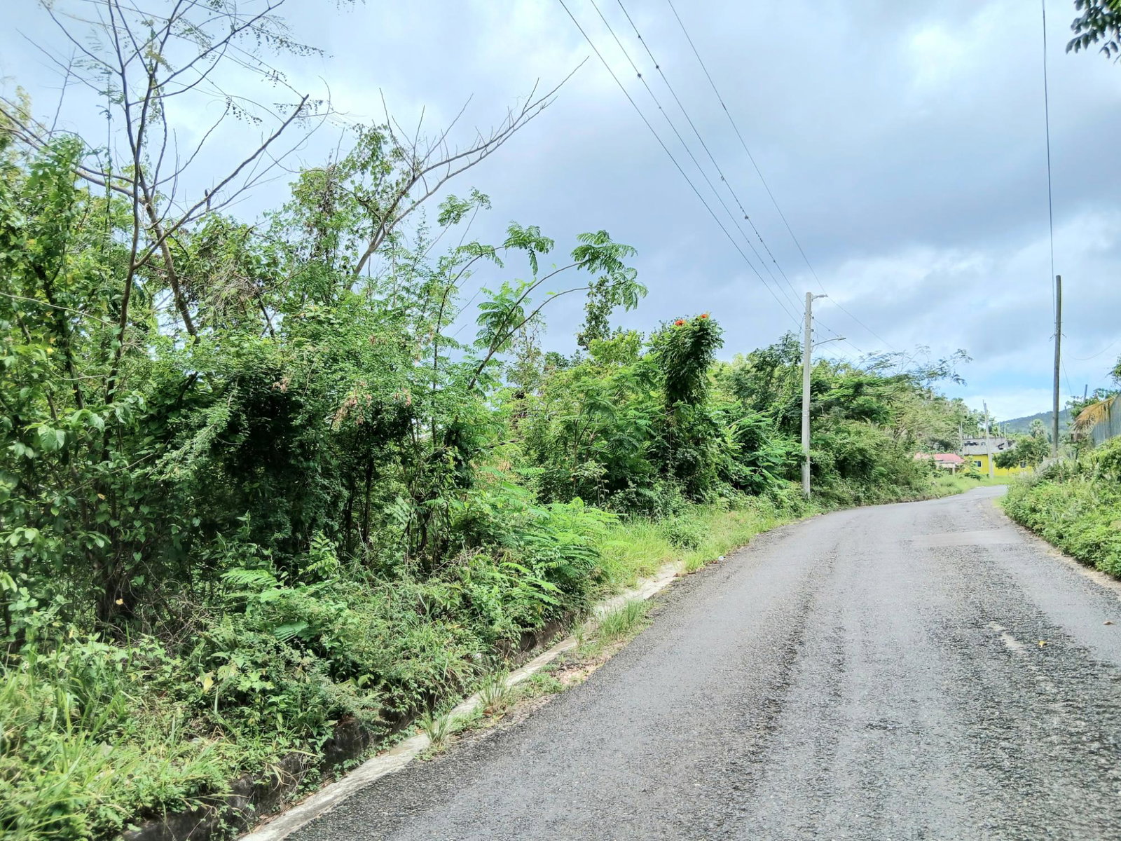 Thirteenth image of Burnt Ground in Santa Cruz, St. Elizabeth, Jamaica - property is For Sale