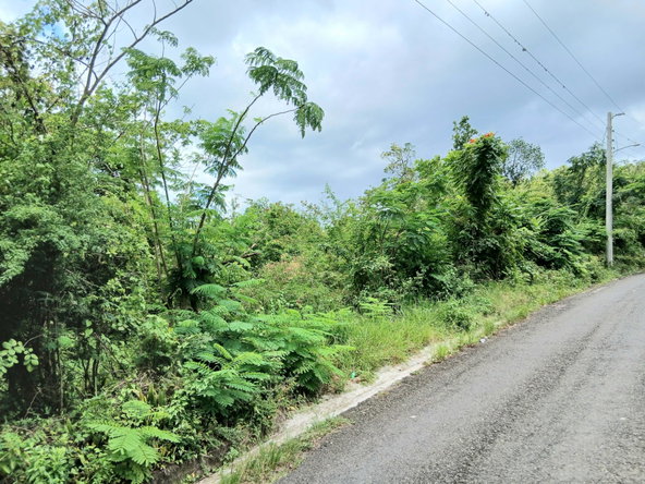 Fourteenth image of Burnt Ground in Santa Cruz, St. Elizabeth, Jamaica - property is For Sale