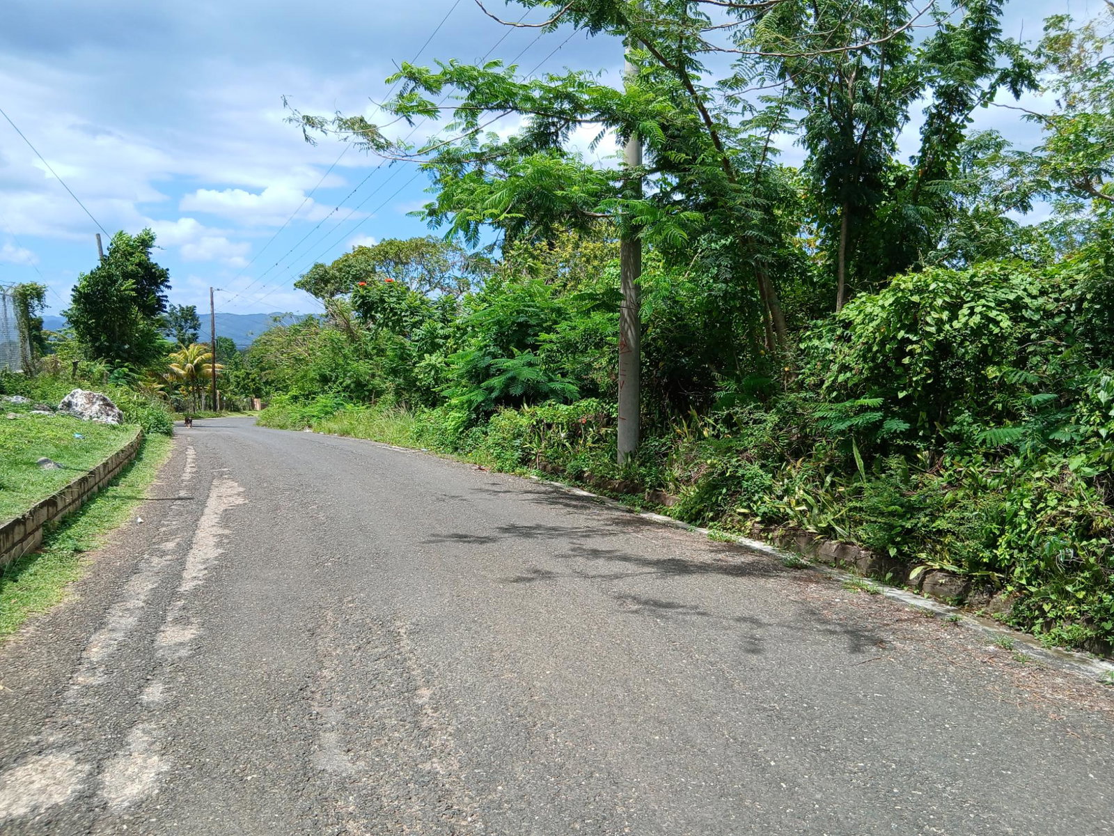 Sixteenth image of Burnt Ground in Santa Cruz, St. Elizabeth, Jamaica - property is For Sale