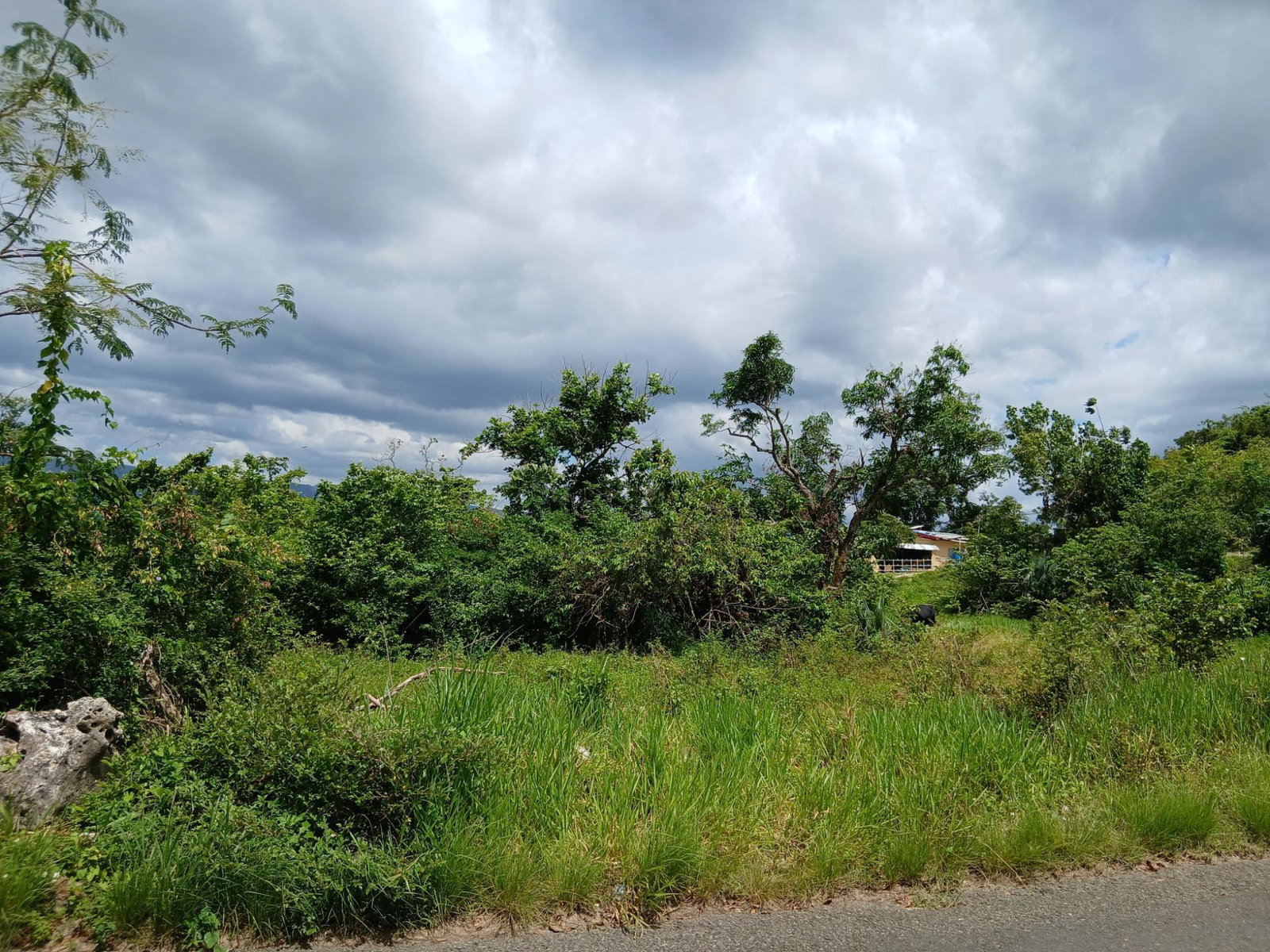 Seventeenth image of Burnt Ground in Santa Cruz, St. Elizabeth, Jamaica - property is For Sale