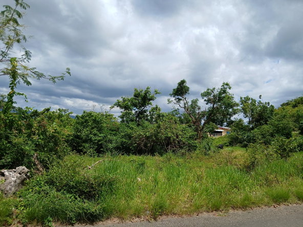 Seventeenth image of Burnt Ground in Santa Cruz, St. Elizabeth, Jamaica - property is For Sale