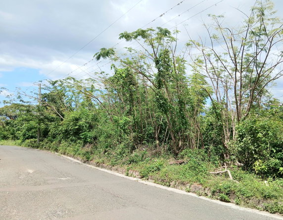 Eighteenth image of Burnt Ground in Santa Cruz, St. Elizabeth, Jamaica - property is For Sale