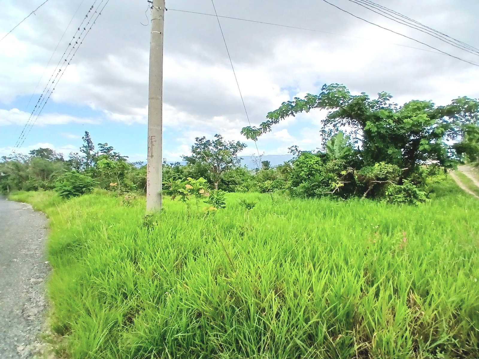 Third image of Burnt Ground in Santa Cruz, St. Elizabeth, Jamaica - property is For Sale