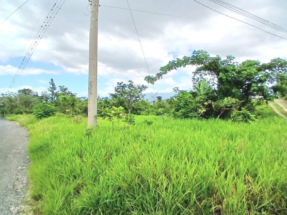 Third image of Burnt Ground in Santa Cruz, St. Elizabeth, Jamaica - property is For Sale