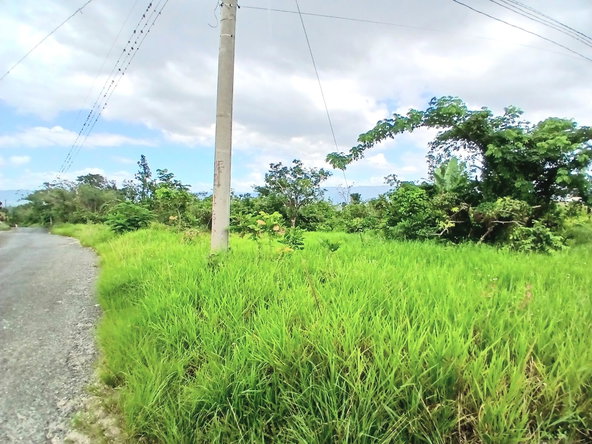 Fourth image of Burnt Ground in Santa Cruz, St. Elizabeth, Jamaica - property is For Sale