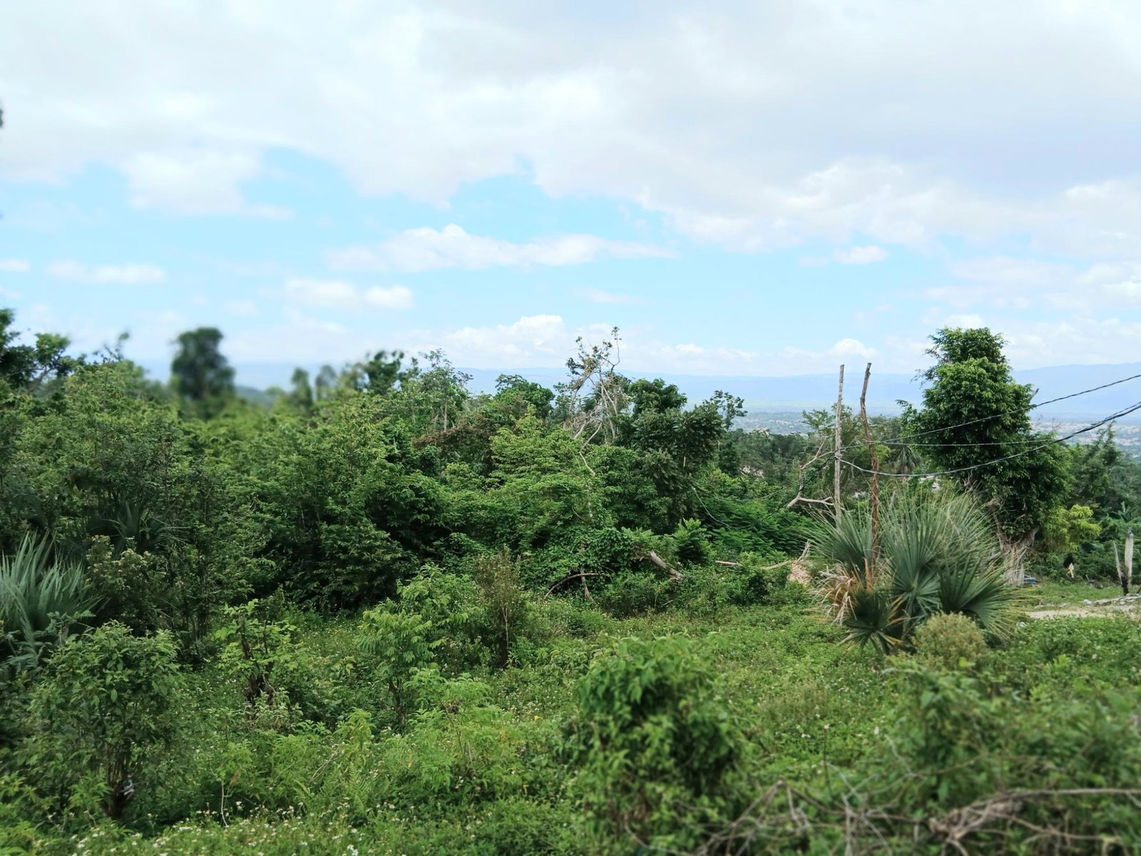 Sixth image of Burnt Ground in Santa Cruz, St. Elizabeth, Jamaica - property is For Sale