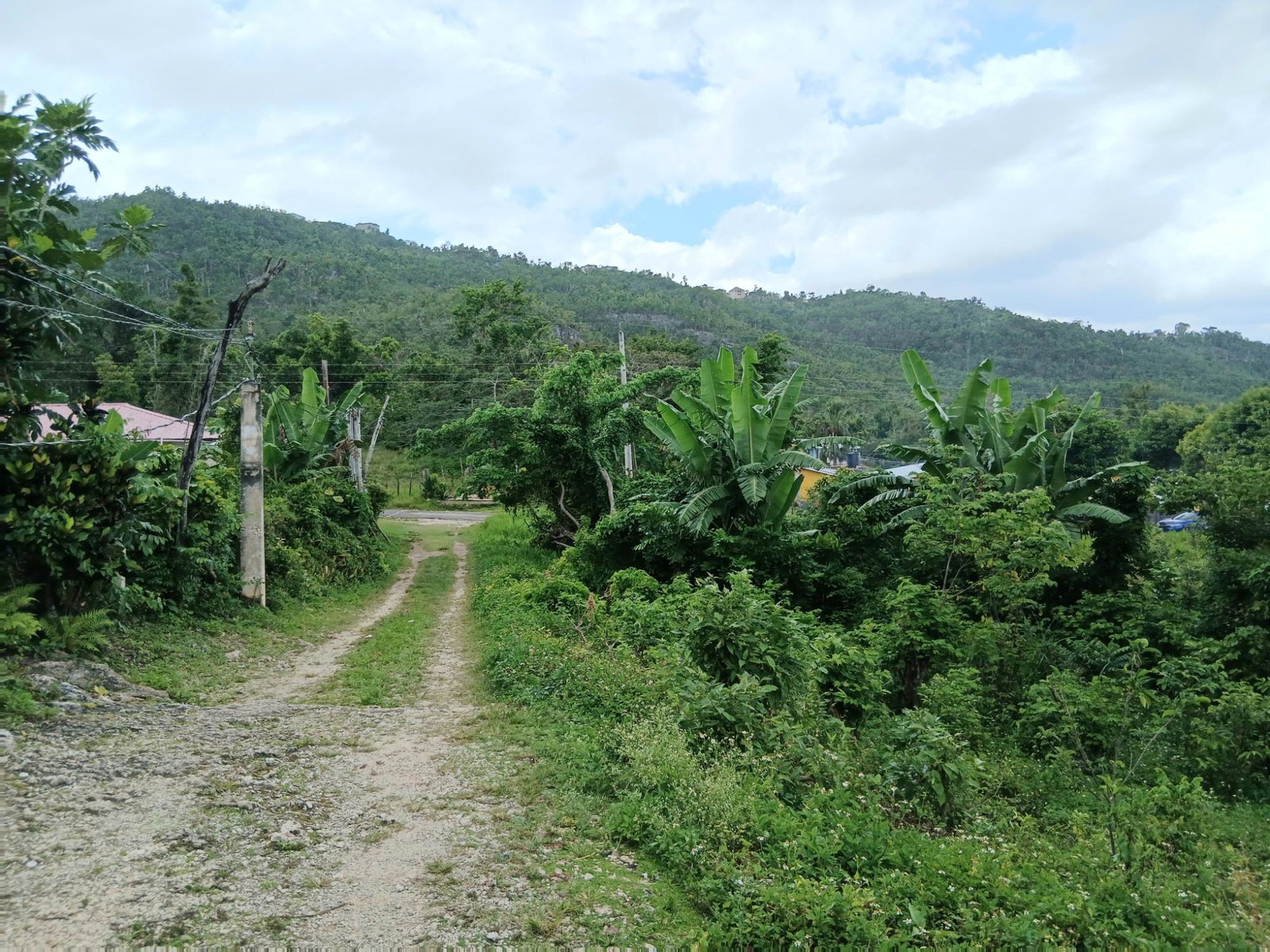 Seventh image of Burnt Ground in Santa Cruz, St. Elizabeth, Jamaica - property is For Sale