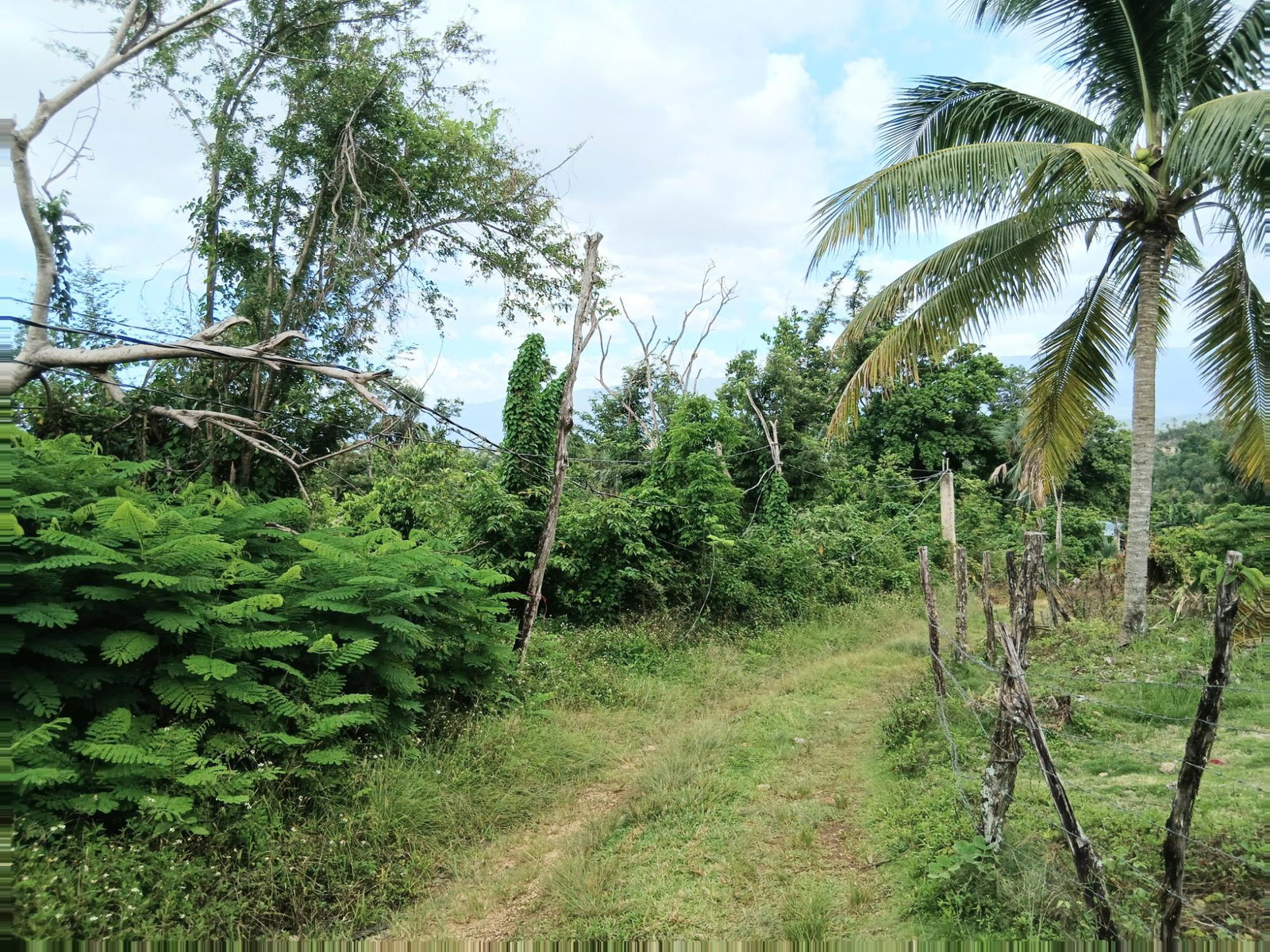 Ninth image of Burnt Ground in Santa Cruz, St. Elizabeth, Jamaica - property is For Sale