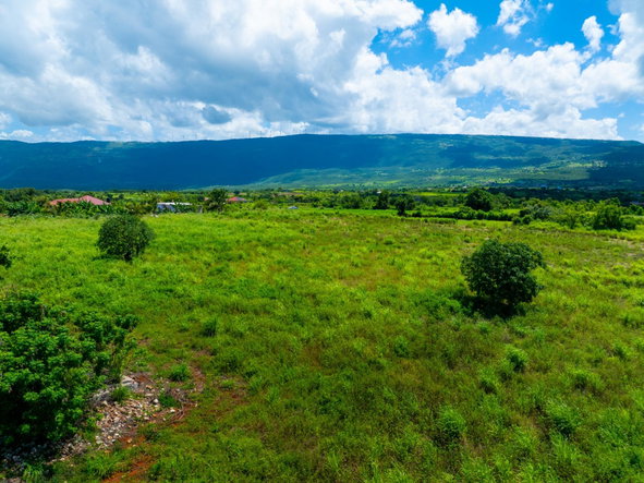 Fourteenth image of Pedro Plain in Treasure Beach, St. Elizabeth, Jamaica - property is For Sale