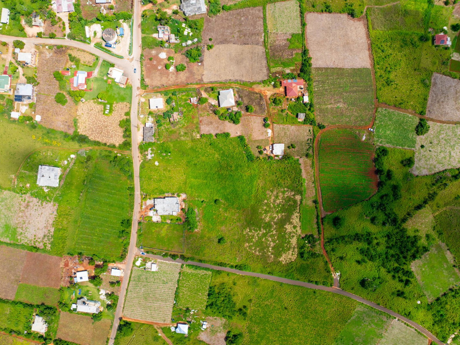 Fifteenth image of Pedro Plain in Treasure Beach, St. Elizabeth, Jamaica - property is For Sale