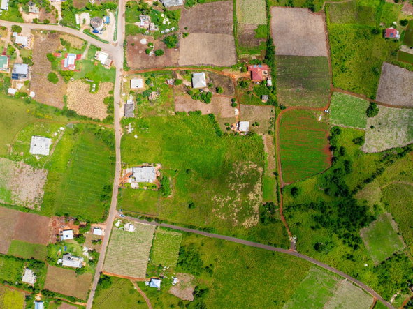 Twentieth image of Pedro Plain in Treasure Beach, St. Elizabeth, Jamaica - property is For Sale