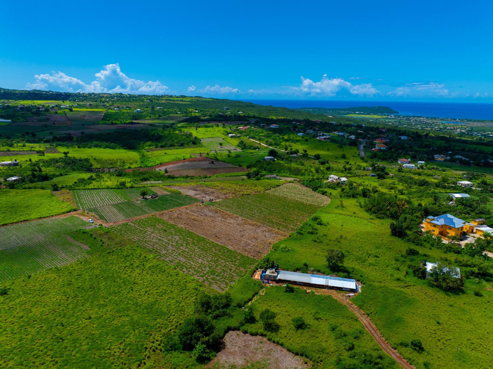 Twenty-Second image of Pedro Plain in Treasure Beach, St. Elizabeth, Jamaica - property is For Sale