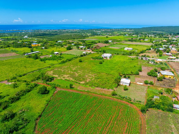 Eighth image of Pedro Plain in Treasure Beach, St. Elizabeth, Jamaica - property is For Sale