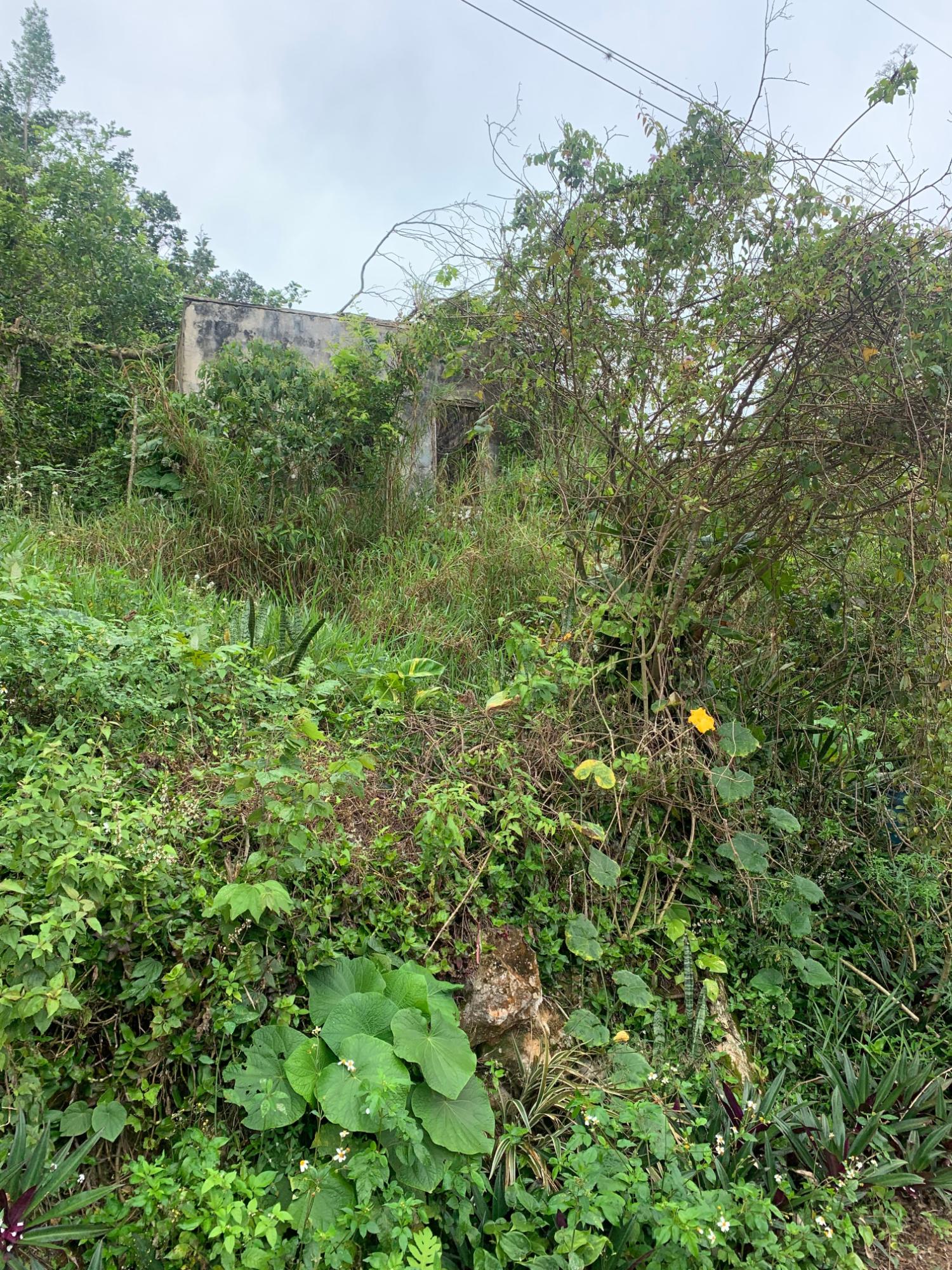 First image of Mollison Manchester in Christiana, Manchester, Jamaica - property is For Sale