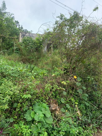 First image of Mollison Manchester in Christiana, Manchester, Jamaica - property is For Sale