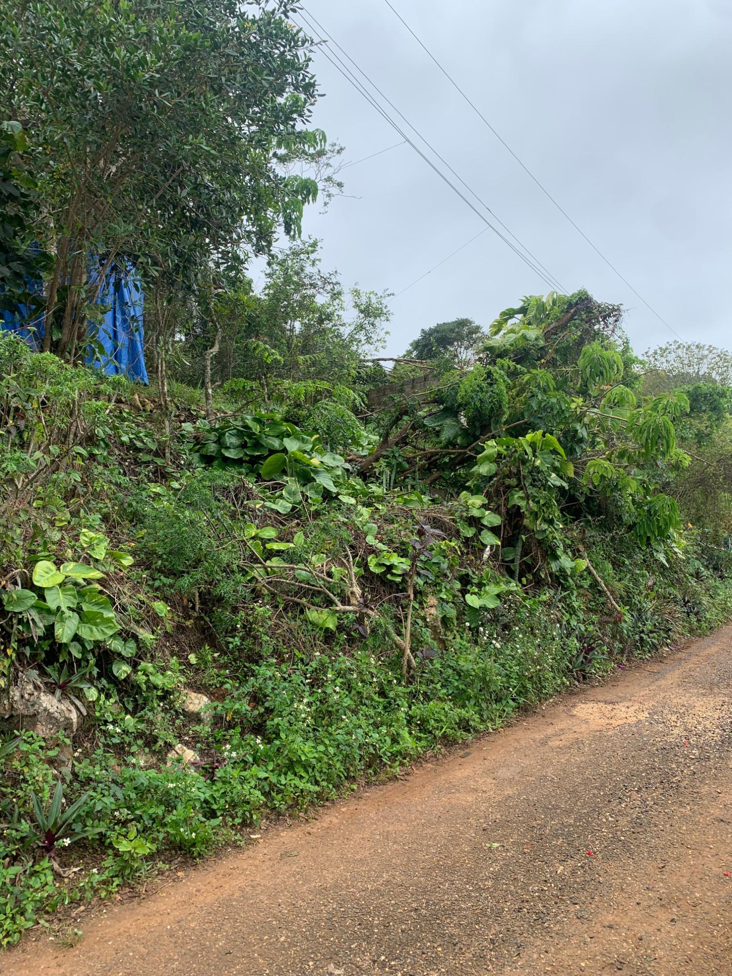 Third image of Mollison Manchester in Christiana, Manchester, Jamaica - property is For Sale