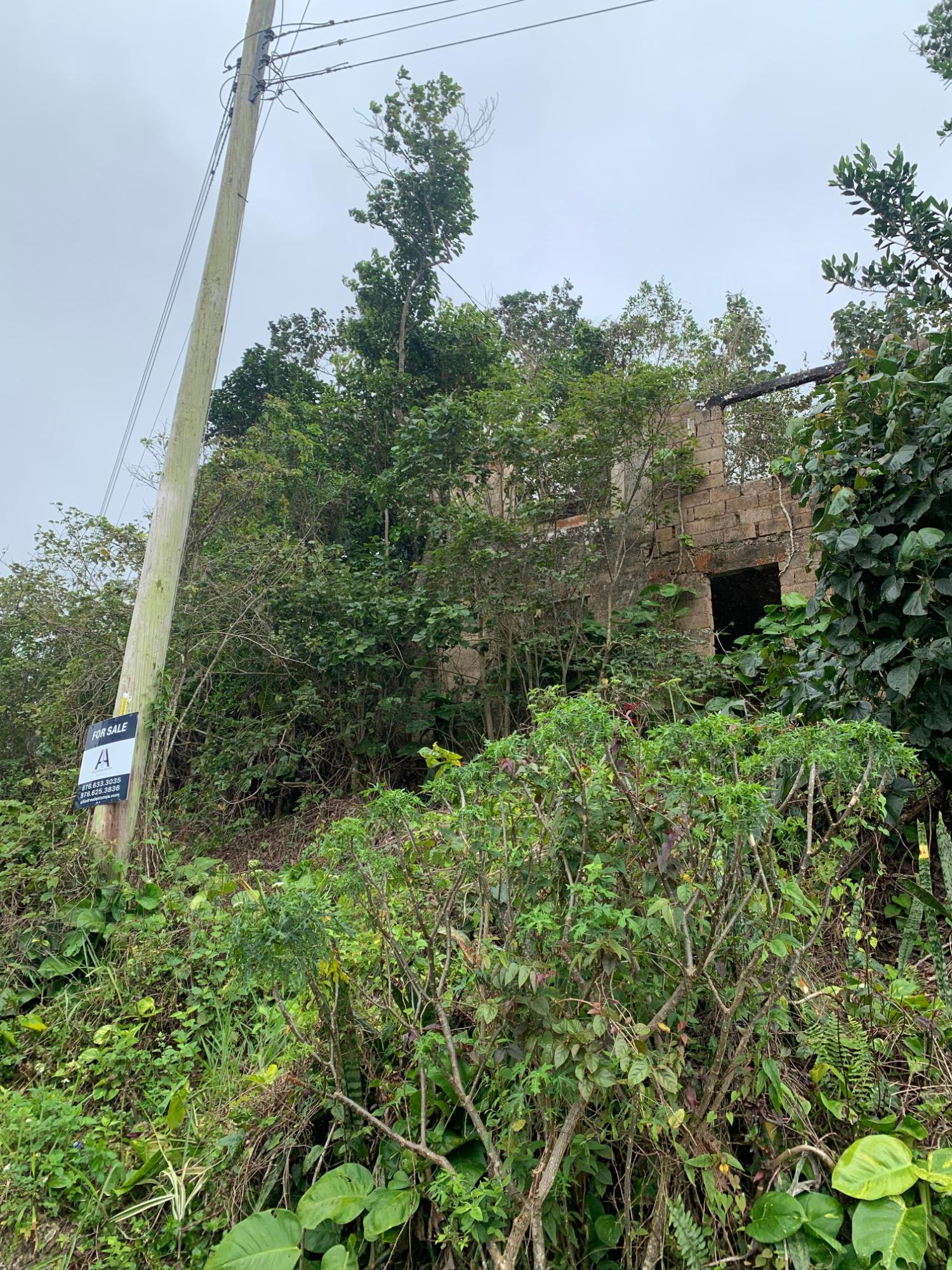 Fourth image of Mollison Manchester in Christiana, Manchester, Jamaica - property is For Sale
