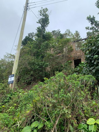 Fourth image of Mollison Manchester in Christiana, Manchester, Jamaica - property is For Sale