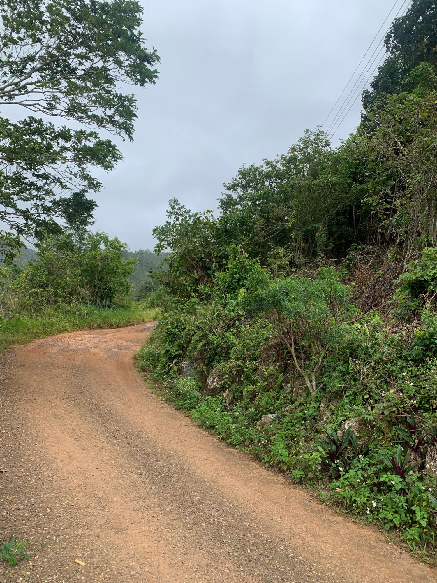 Sixth image of Mollison Manchester in Christiana, Manchester, Jamaica - property is For Sale