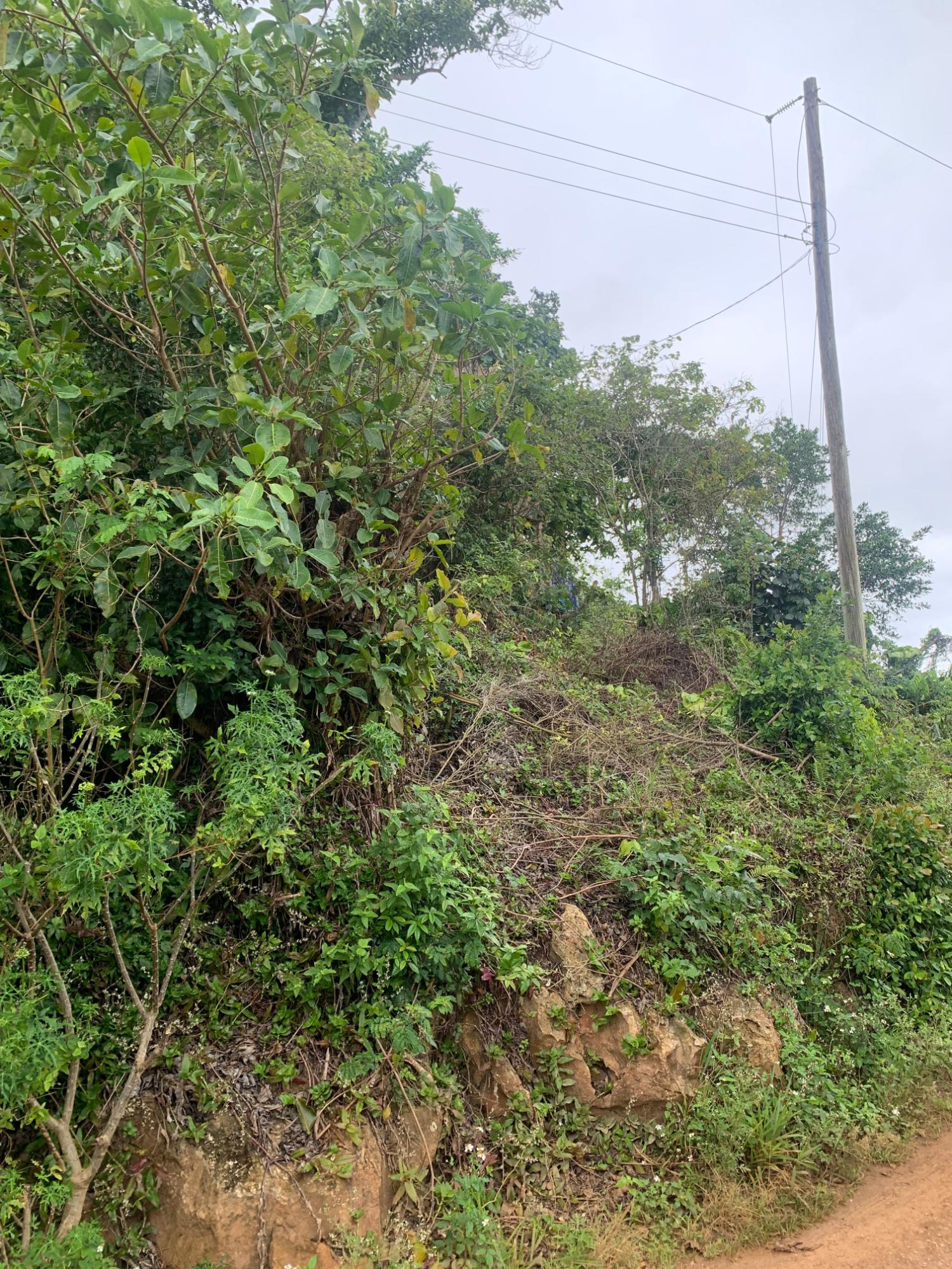 Eighth image of Mollison Manchester in Christiana, Manchester, Jamaica - property is For Sale