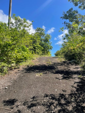 First image of Mango Valley Road in Boscobel, St. Mary, Jamaica - property is For Sale
